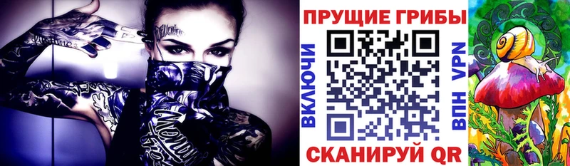 Галлюциногенные грибы мухоморы  Дивногорск 